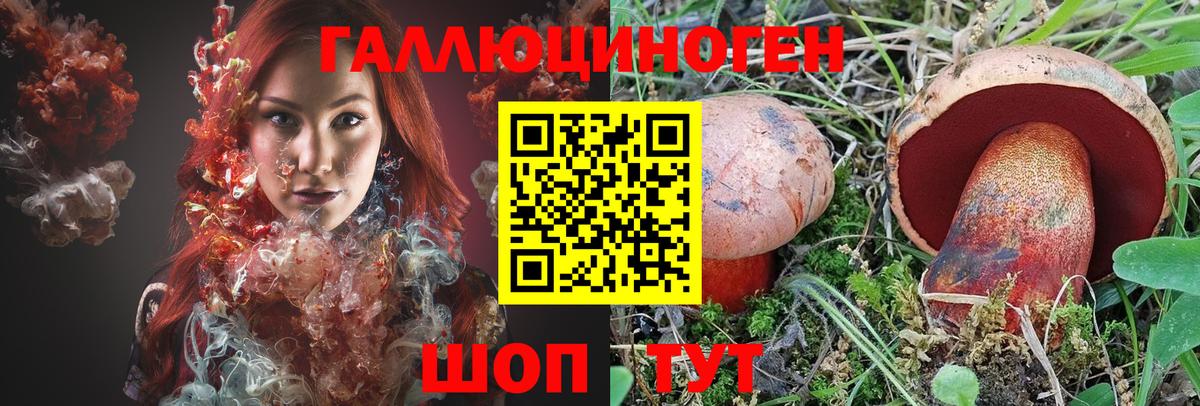 Новокубанск  Псилоцибиновые грибы Psilocybine cubensis  где купить наркоту  Вход с VPN 