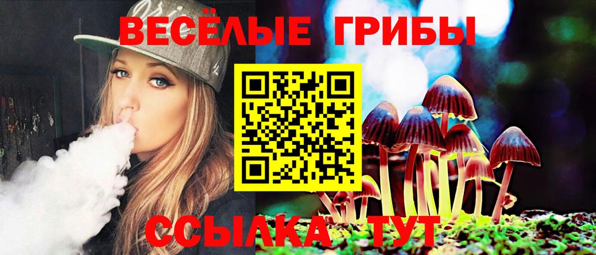 Галлюциногенные грибы прущие грибы Новокубанск