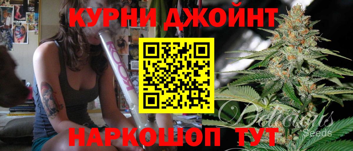 Каннабис план  Каннабис индика  Вход с VPN  Новокубанск  МАРИХУАНА конопля 